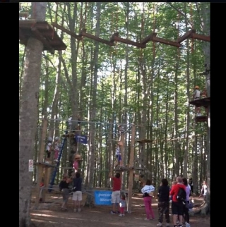  Todos con la nariz hacia arriba 